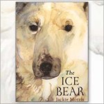 The Ice Bear Book By Author Jackie Morris