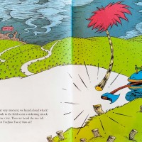 THE LORAX | Childrens book by DR SEUSS