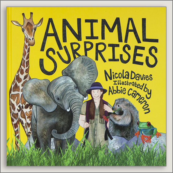 Animal-Surprises-Cover-Nicola-Davies-kids